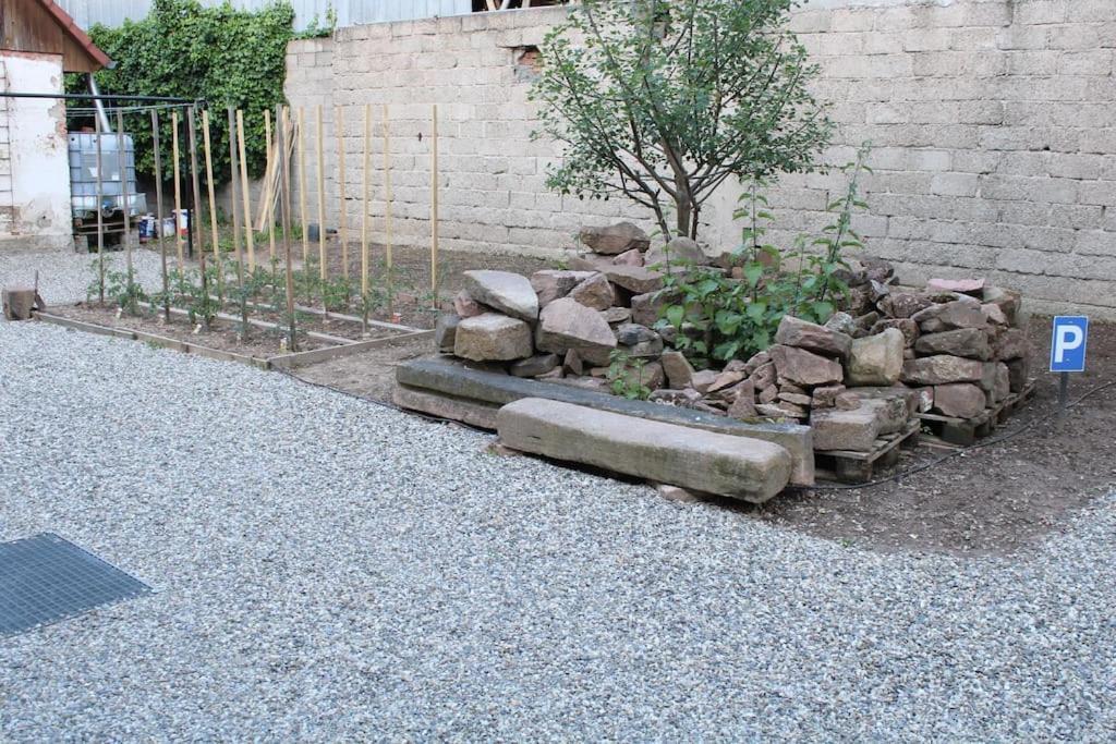 Spacieux Duplex 1 A 6 Personnes Ebersheim 外观 照片