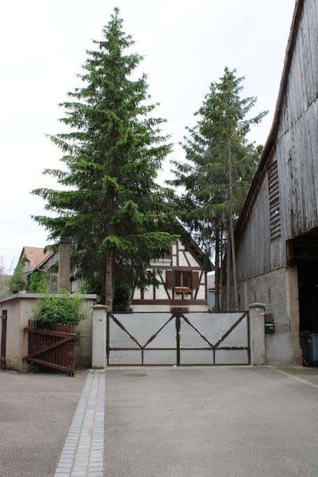 Spacieux Duplex 1 A 6 Personnes Ebersheim 外观 照片
